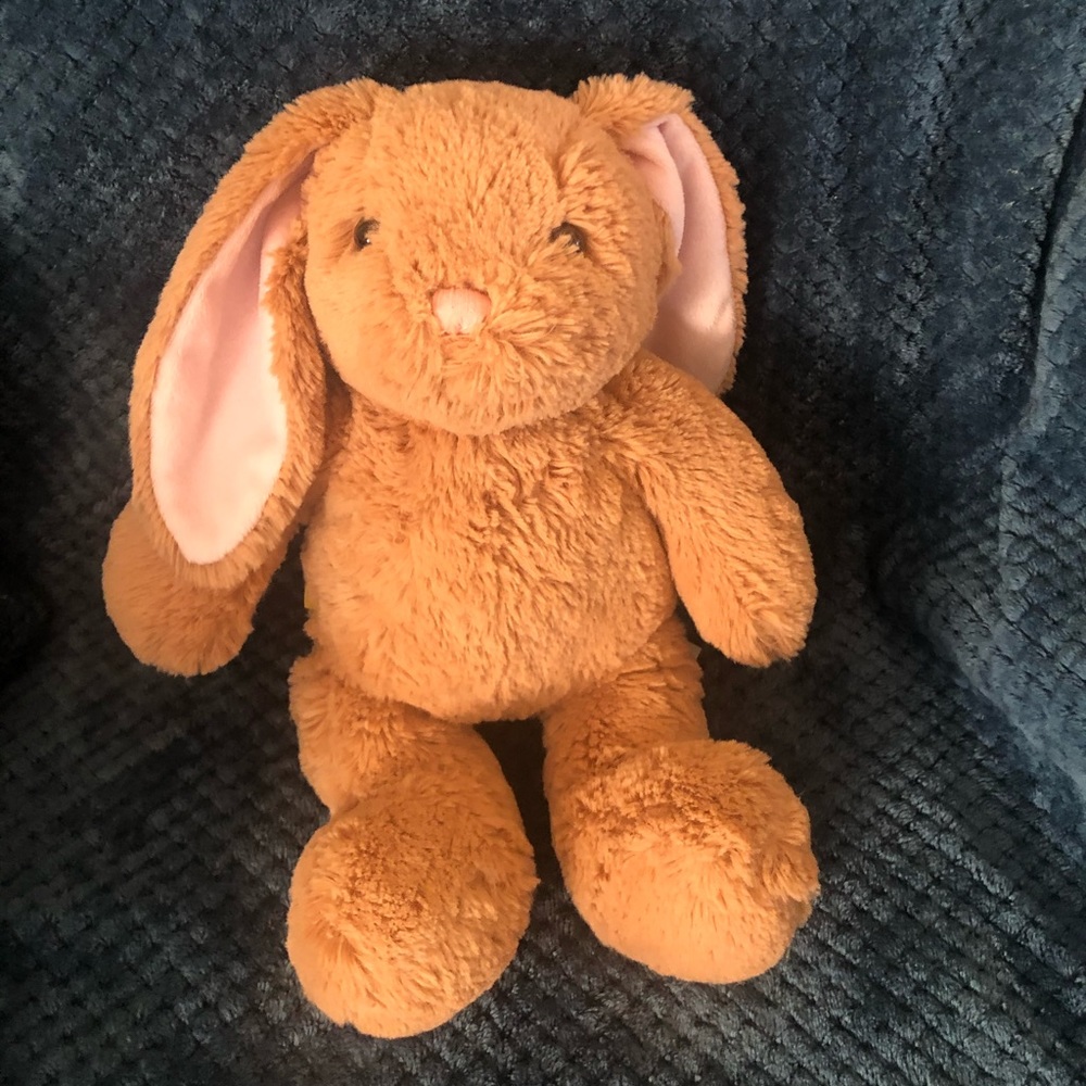 Rabbit